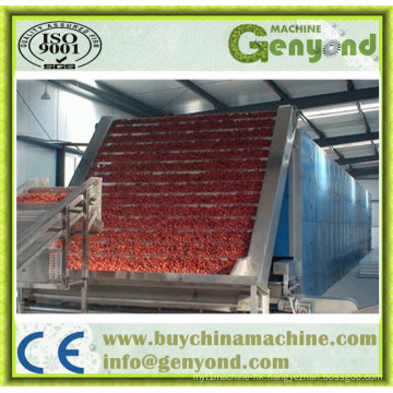 Full Automaitc Onion Drying Machine